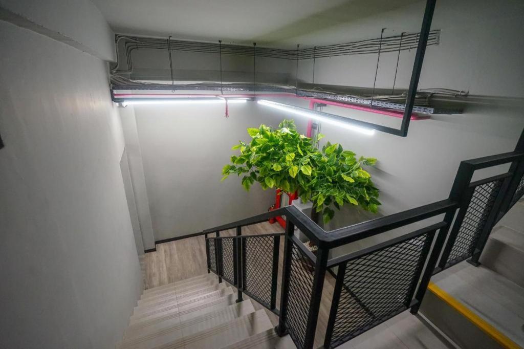 Oyo 568 Rajawali Homestay Palembang Buitenkant foto