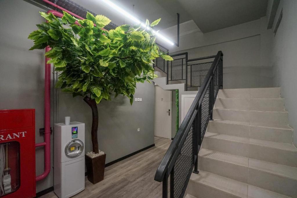 Oyo 568 Rajawali Homestay Palembang Buitenkant foto